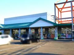 カワチ薬品 南吉成店