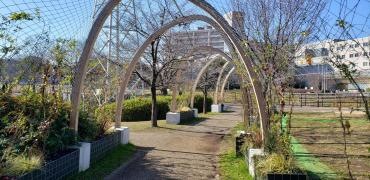 新横浜駅前公園