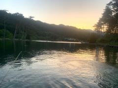 ＦＩＳＨ・ＯＮ！鹿留