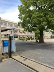 勝幡小学校