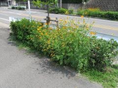 三丁山街園