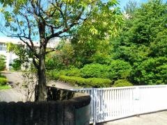 大阪府立千里高等学校