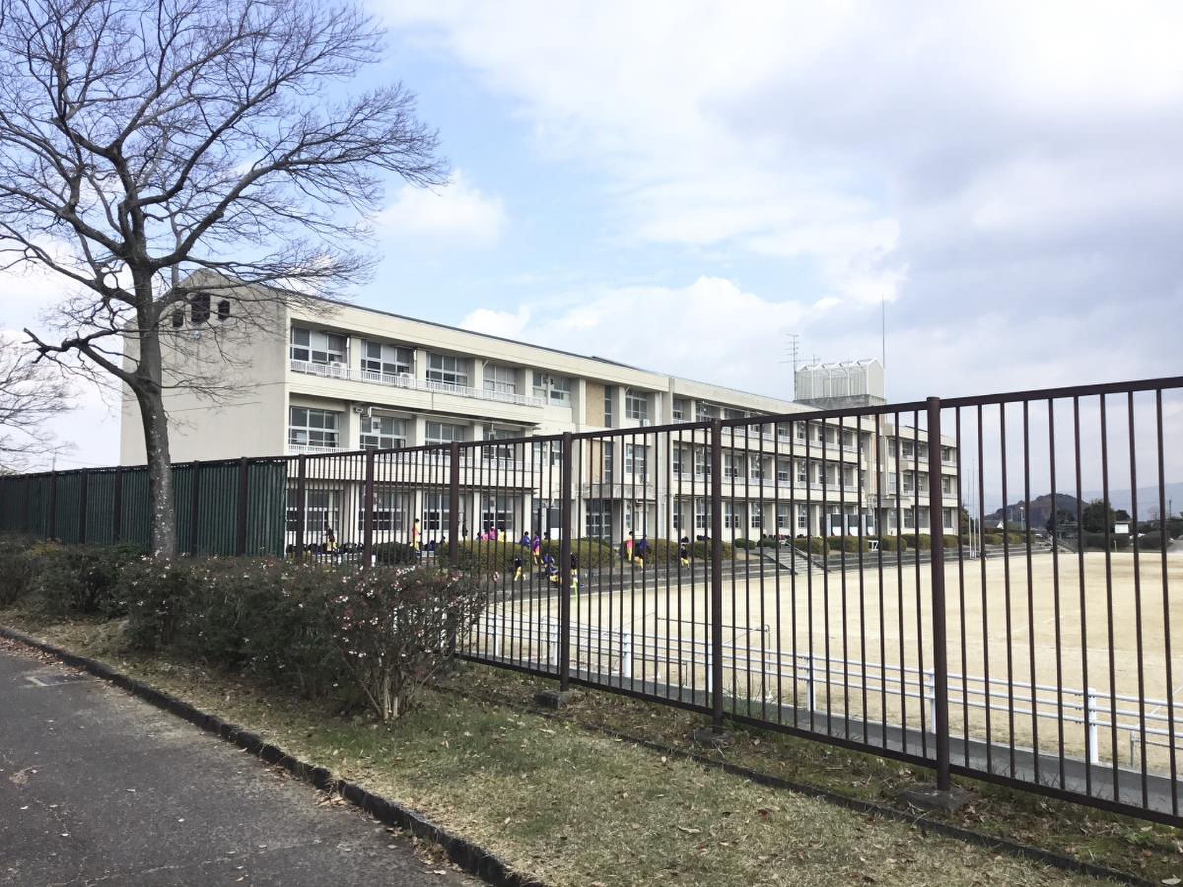 公の場での発言・インタビュー報道記録