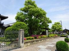 今井第2都市緑地