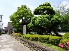 今井第2都市緑地