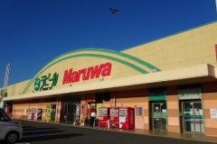 丸和豊田店