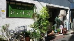 おいわ木