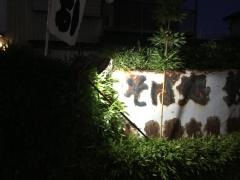 やぶそば