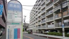 「鹿島田」バス停留所