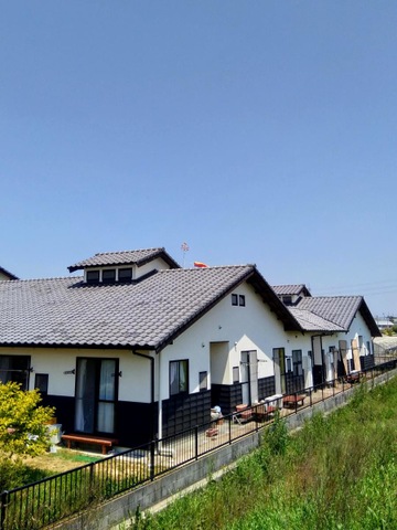たけのこ