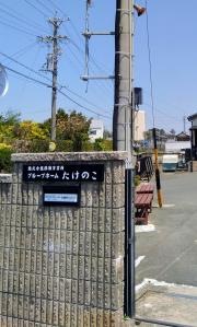 たけのこ
