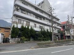エバーグリーン