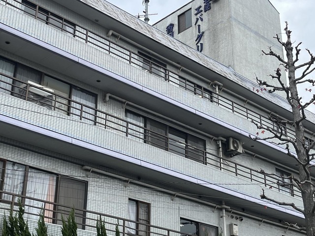 エバーグリーン