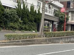 エバーグリーン