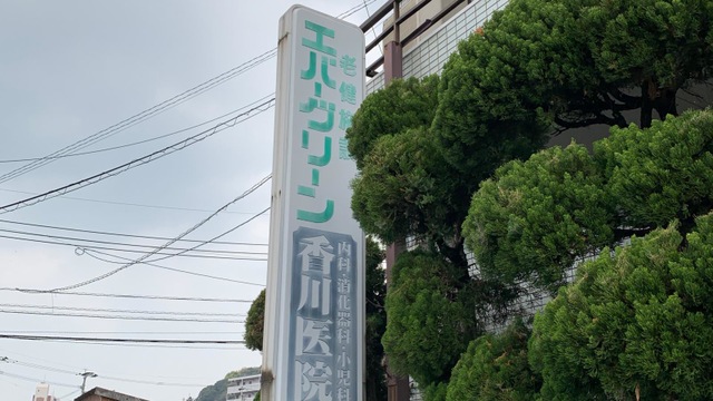 エバーグリーン