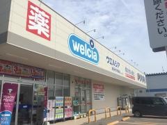 ウエルシア新潟弁天橋通店