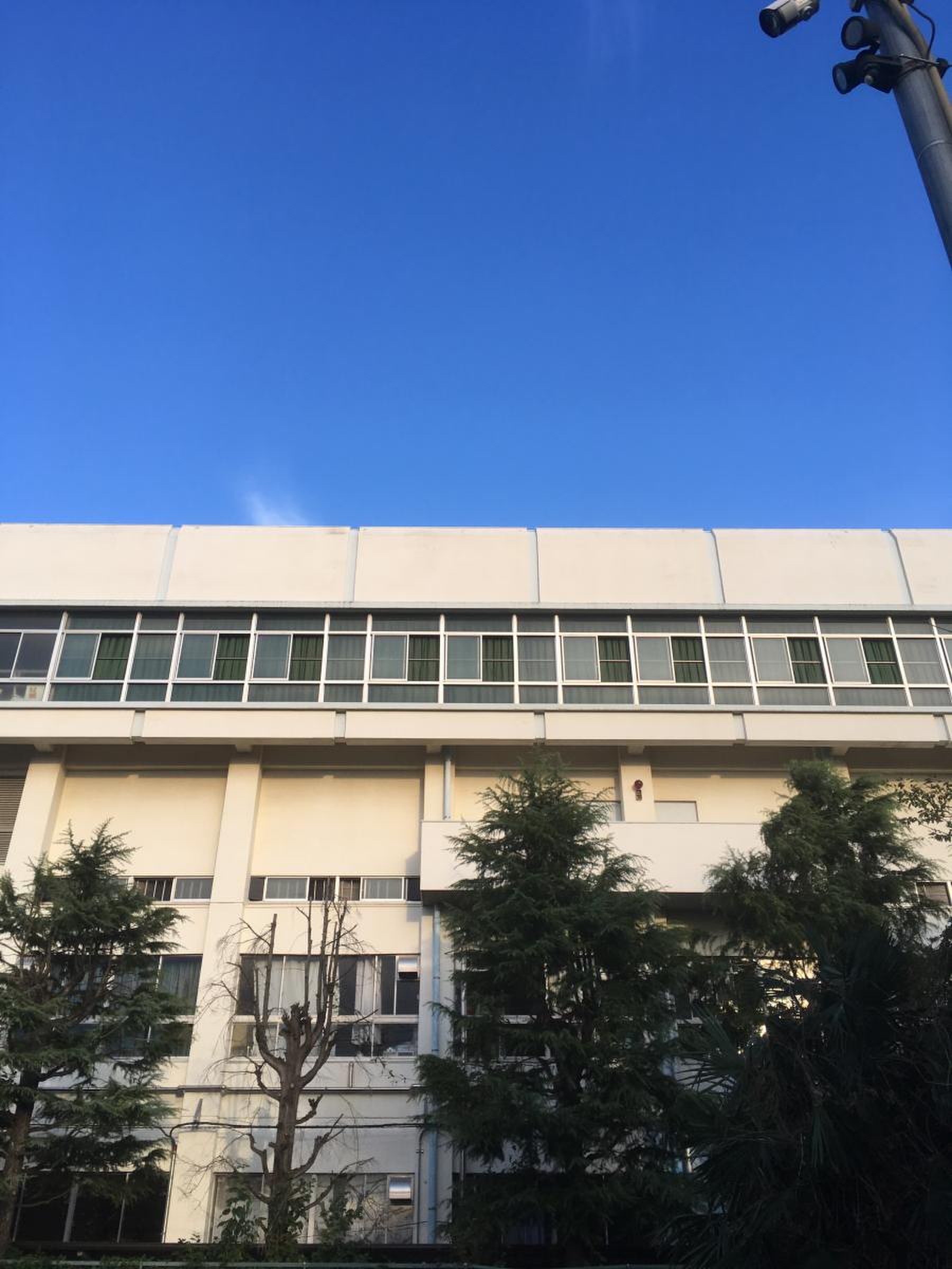 当時のメディア報道・掲載写真