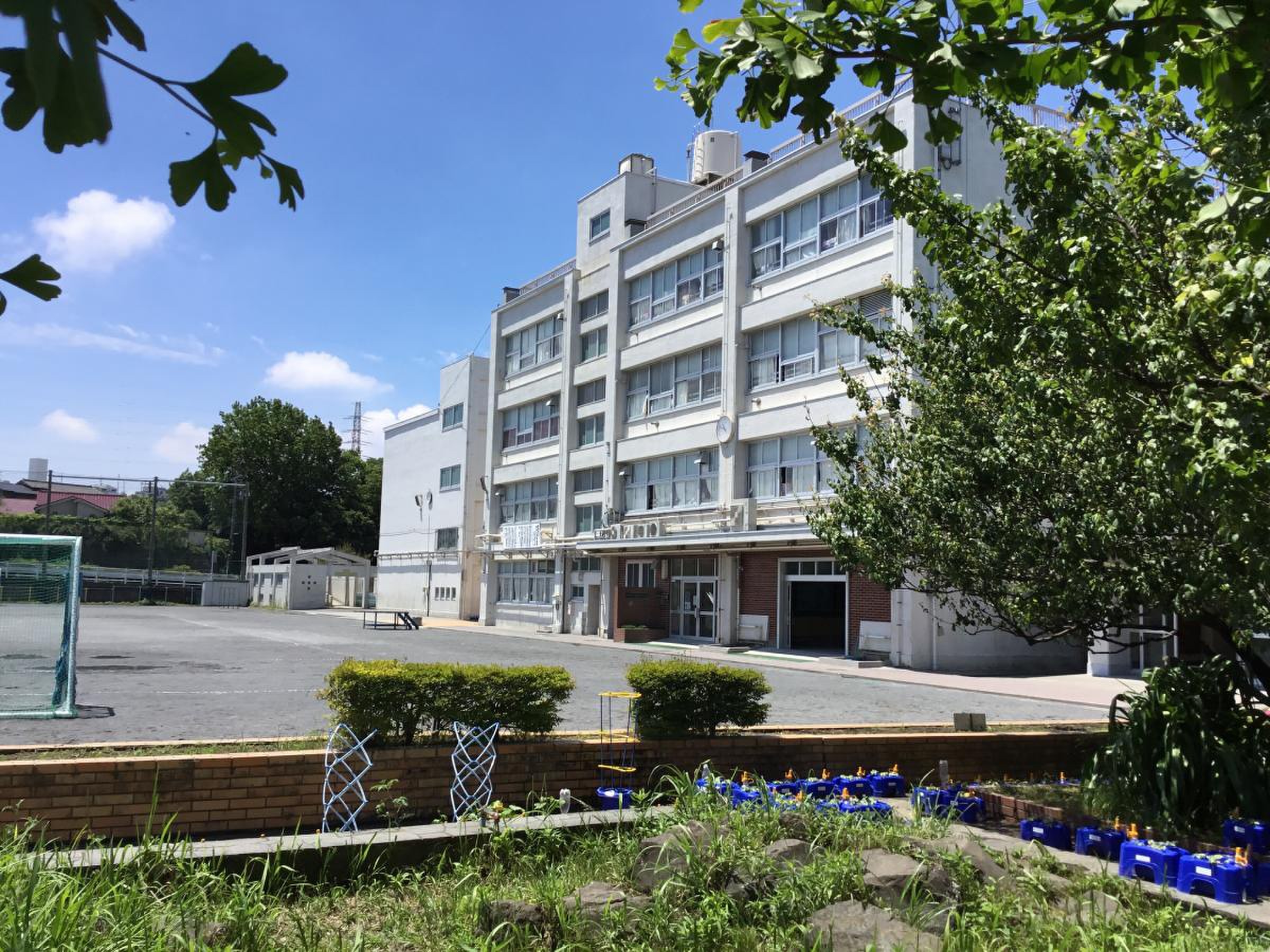 横浜 市立 梅林 小学校