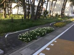 西新北緑地