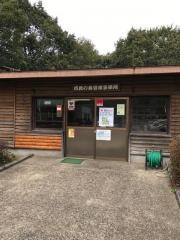 宮崎市民の森