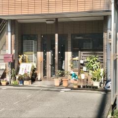 キティ