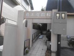 橋本皮膚科