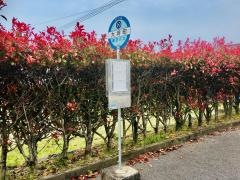 「大坪町」バス停留所