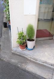 飯島薬局