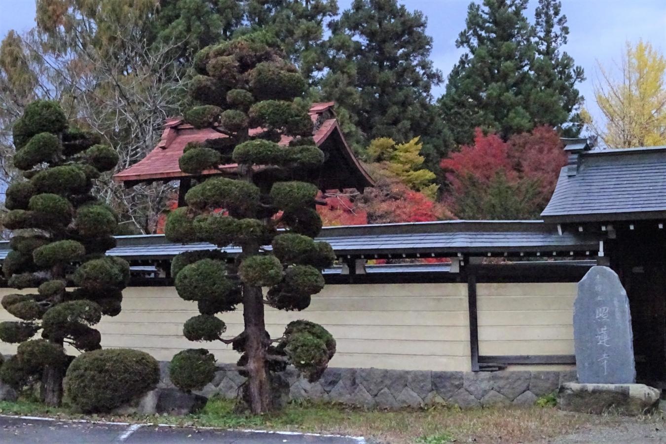 庭園③