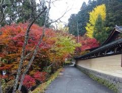 照蓮寺庭園