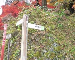 照蓮寺庭園
