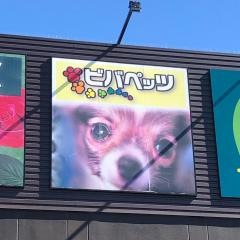 ワンニャンハウス　ビバペッツ春日部店