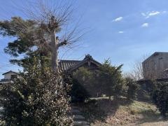 愛宕神社