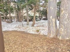 宮の森十二軒緑地