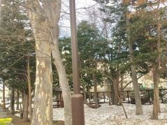 宮の森十二軒緑地