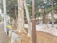 宮の森十二軒緑地