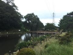 乙女湖公園