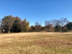 第十二号勅使ケ池緑地