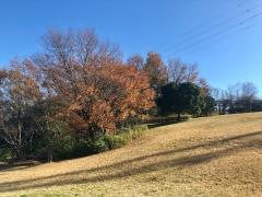 第十二号勅使ケ池緑地