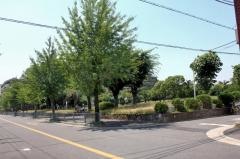 光竜寺公園