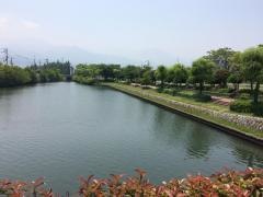 御舟川緑道