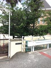 愛の泉保育園