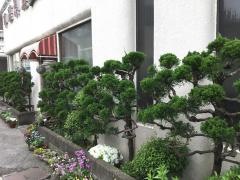 一平
