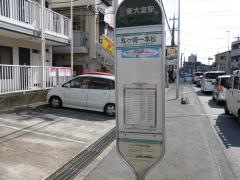 「丸ケ崎一本松」バス停留所