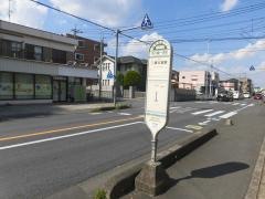 「丸ケ崎一本松」バス停留所