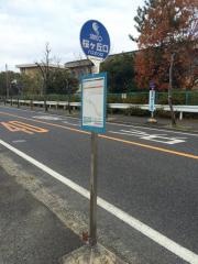 「桜ヶ丘口」バス停留所