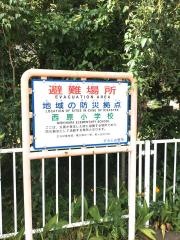西原小学校