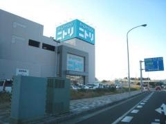 ニトリ　幕張店
