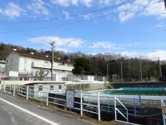 新本小学校