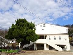 新本小学校